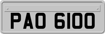 PAO6100