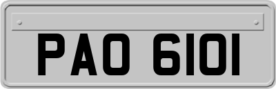 PAO6101