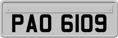 PAO6109