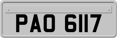 PAO6117