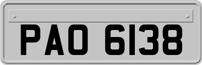 PAO6138