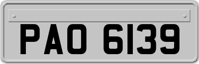 PAO6139