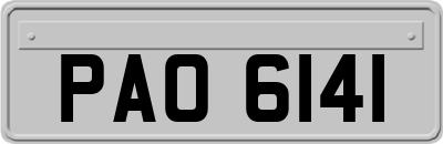 PAO6141