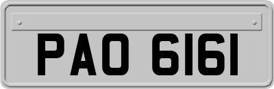 PAO6161