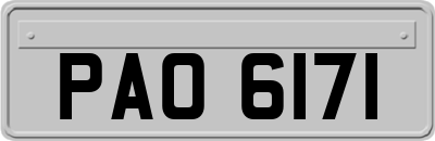 PAO6171