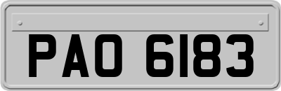 PAO6183