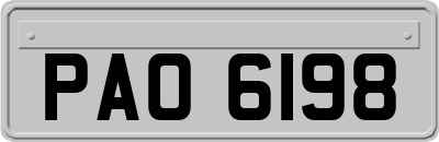 PAO6198