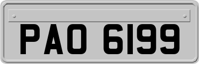 PAO6199