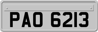 PAO6213
