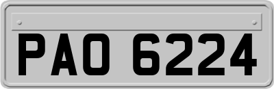 PAO6224