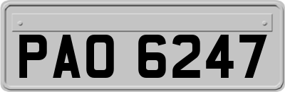 PAO6247