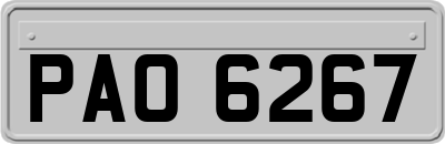 PAO6267