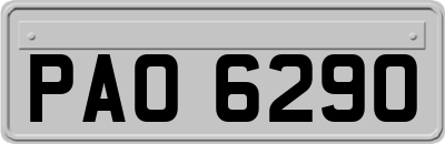 PAO6290