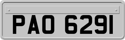 PAO6291
