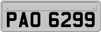 PAO6299