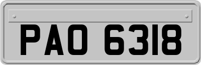 PAO6318