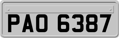 PAO6387