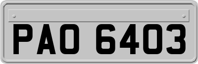 PAO6403