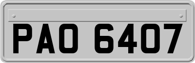 PAO6407