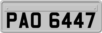 PAO6447