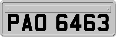 PAO6463