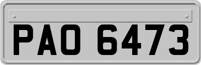 PAO6473