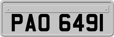 PAO6491