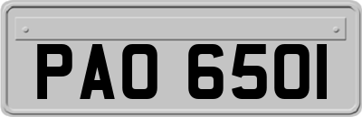 PAO6501