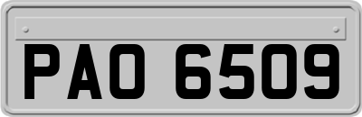 PAO6509