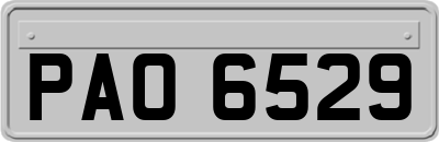 PAO6529