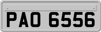 PAO6556