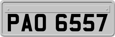 PAO6557