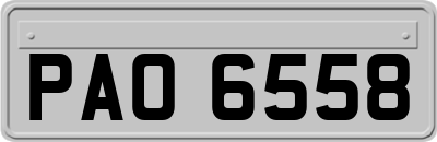 PAO6558