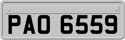 PAO6559