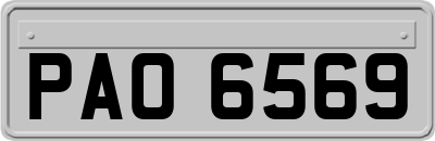 PAO6569