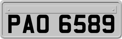 PAO6589