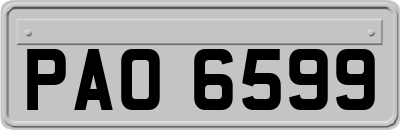 PAO6599