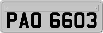 PAO6603