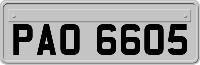 PAO6605