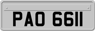 PAO6611