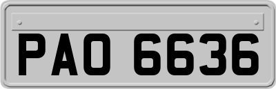 PAO6636