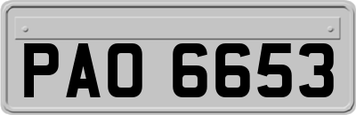 PAO6653