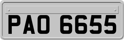 PAO6655