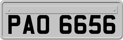 PAO6656
