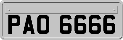 PAO6666