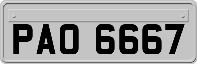 PAO6667