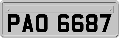 PAO6687
