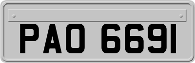 PAO6691