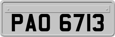 PAO6713