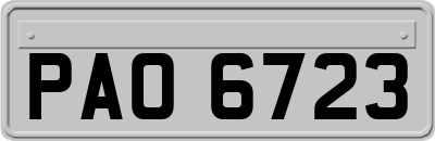 PAO6723